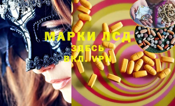ПСИЛОЦИБИНОВЫЕ ГРИБЫ Гусь-Хрустальный