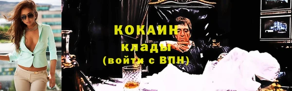 ПСИЛОЦИБИНОВЫЕ ГРИБЫ Гусь-Хрустальный