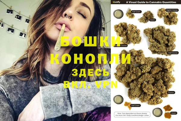 ПСИЛОЦИБИНОВЫЕ ГРИБЫ Гусь-Хрустальный