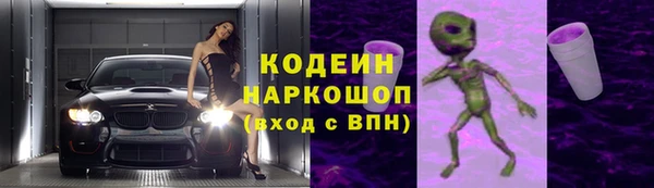 ПСИЛОЦИБИНОВЫЕ ГРИБЫ Гусь-Хрустальный