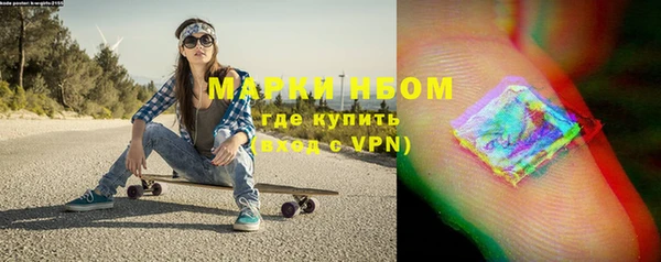 ПСИЛОЦИБИНОВЫЕ ГРИБЫ Гусь-Хрустальный