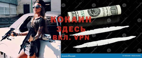 альфа пвп Гусев