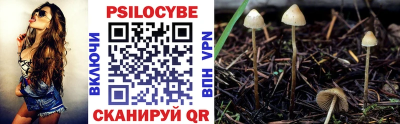 даркнет сайт Заволжск Галлюциногенные грибы Psilocybine cubensis